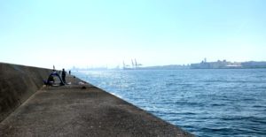 【神奈川の沖堤防】川崎新堤防への渡船情報&釣れる魚は?