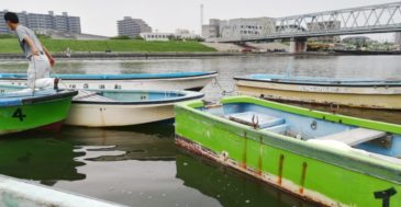 江戸川放水路でハゼ釣りに挑戦。イトウ遊船でボートから狙う!