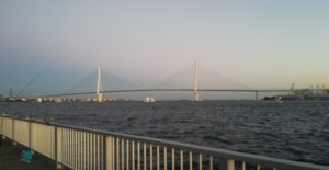 【超初心者向け】神奈川で夏に海釣りを始めるなら「ふれーゆ裏」がおすすめ。