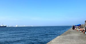 海堤防エサ釣り編:初心者でも簡単に狙えるオススメの魚5選  まずはターゲットを決めよう!