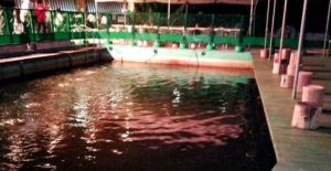 品川フィッシングガーデンでまったりコイ釣り【リーマンに染みる】