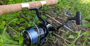 テイルウォークのスピーキーを分解インプレ【巻き感・コスパは神】