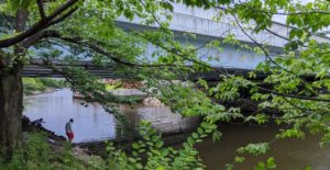 新左近川親水公園の釣り場紹介。お手軽ファミリーフィッシング!