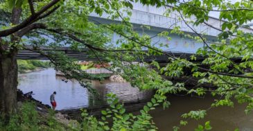 新左近川親水公園の釣り場紹介。お手軽ファミリーフィッシング!