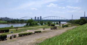 【多摩川大橋編】多摩川のテナガエビ釣りポイントを紹介