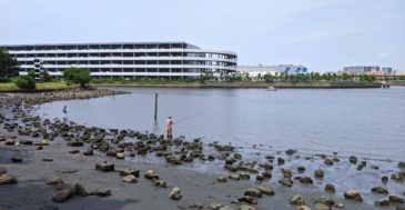 大井ふ頭中央海浜公園で釣りをしよう 　4つのポイント別に解説