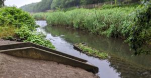 野川を釣り歩く　国領⇔二子玉をナマズを求めて歩いてみた【東京】