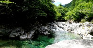 【渓流釣り入門】魅力、ターゲット、釣り方の種類、注意点を解説するよ
