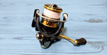 アジング・メバリングにオススメのスピニングリール3選 重量・ドラグに注目【初心者向け】