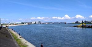 多摩川河口『海老取川』付近でマハゼ釣り ちょい投げがオモロイ