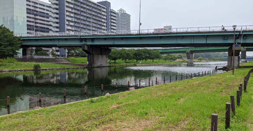 東京『旧中川』でハゼ釣り　サイトフィッシングがオススメ