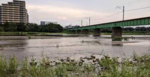 東京『浅川』でルアー小物釣り　ポイントもかる～く紹介