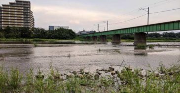 東京『浅川』でルアー小物釣り ポイントもかる~く紹介