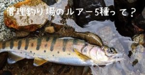 【とにかく1匹釣るために】管理釣り場トラウトルアーの「種類 」 初心者にオススメなのは?
