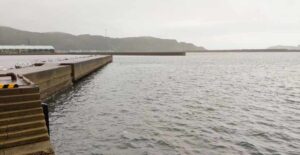 新長崎漁港で釣れる魚たち ちょい投げ釣り・メバリング・サビキ釣りでの釣果やいかに?