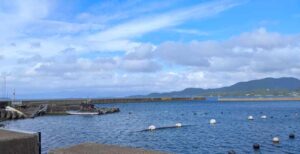 【釣り場紹介】時津の日並地区でちょい投げ釣り チヌ・キス・メゴチ・ホウボウなど釣果を紹介