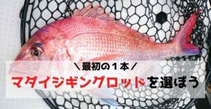 【初めの一本】マダイジギング初心者にオススメのロッド6選 スピニング&ベイトどちらがいいのか