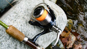 【長く使える入門コスパ機】釣り初心者にオススメのリール5選 選び方まで徹底解説