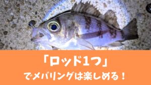 【もはやこれ1本でOK！？】オールラウンドに使えるおすすめメバリングロッド14選