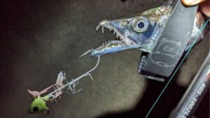 ショアテンヤタチウオおすすめロッド　堤防専用ロッド&ワインドロッドまで！