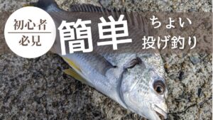 初心者に超オススメな釣り方:『ちょい投げ釣り』が簡単&気軽なので激推ししたい