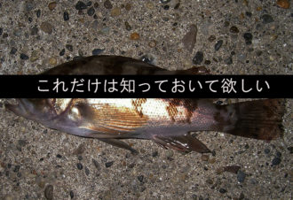 【超初心者向け】 釣りの魅力って?釣りを始める前に読んで欲しいこと