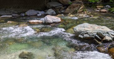 道志川の渓流釣り場を紹介。ルアーよりエサ釣りに分あり?