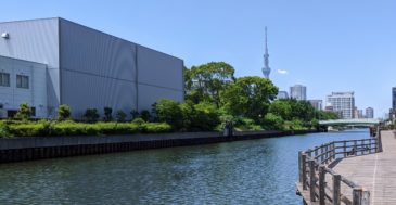 横十間川のハゼ釣りポイントを紹介！駅近・お手軽な高実績ポイント♪