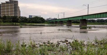 野川を釣り歩く 国領 二子玉をナマズを求めて歩いてみた 東京 ぷら釣り