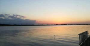 1人で釣りを始めよう！　オススメのルアー釣り3選【淡水編】