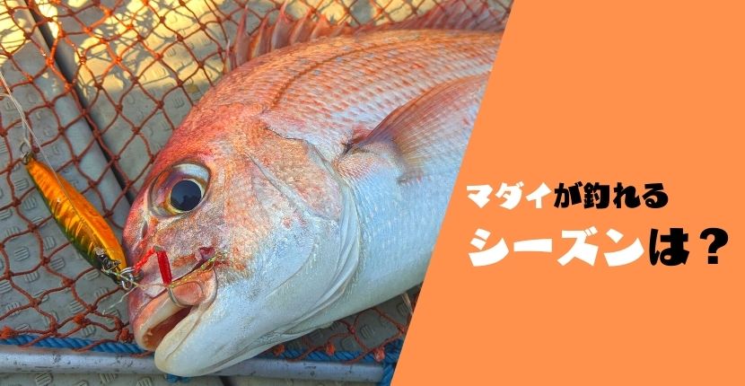 釣果左右する マダイ釣りのベストシーズンはいつなのか 潮 風 時間帯 水温にも注目 ぷら釣り