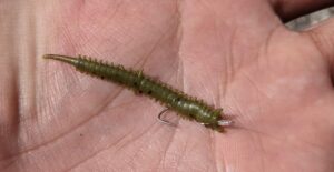 【確実に魚を釣るために】堤防ルアー釣り初心者にオススメのワーム5選