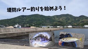 【お手軽釣りデビュー】堤防ルアー釣り初心者には「小物釣り（ライトゲーム）」がオススメ