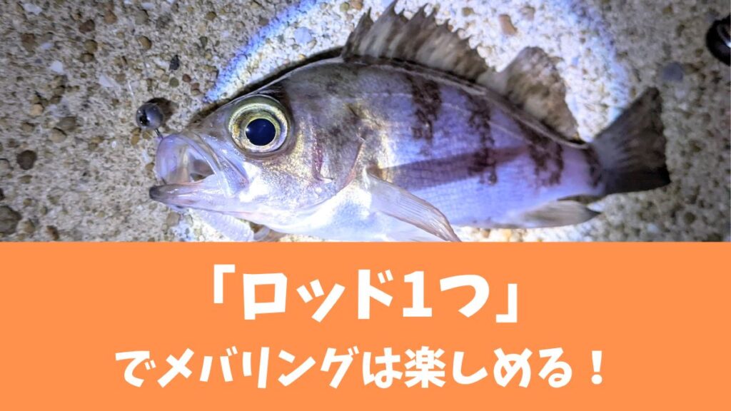 【もはやこれ1本でOK！？】オールラウンドに使えるおすすめメバリングロッド14選