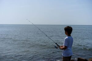 秋の堤防で釣れる魚5選 初心者にオススメしたいターゲットはコレ!